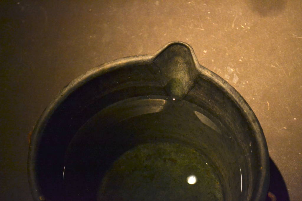 Premio Gallarate: le opere