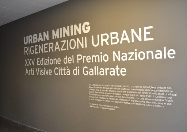 Premio Gallarate: le opere