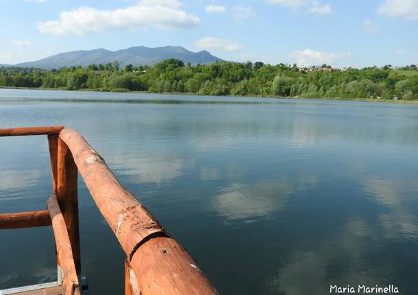 Il porticciolo di Capolago