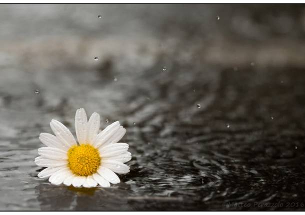 Piove…piove…piove…