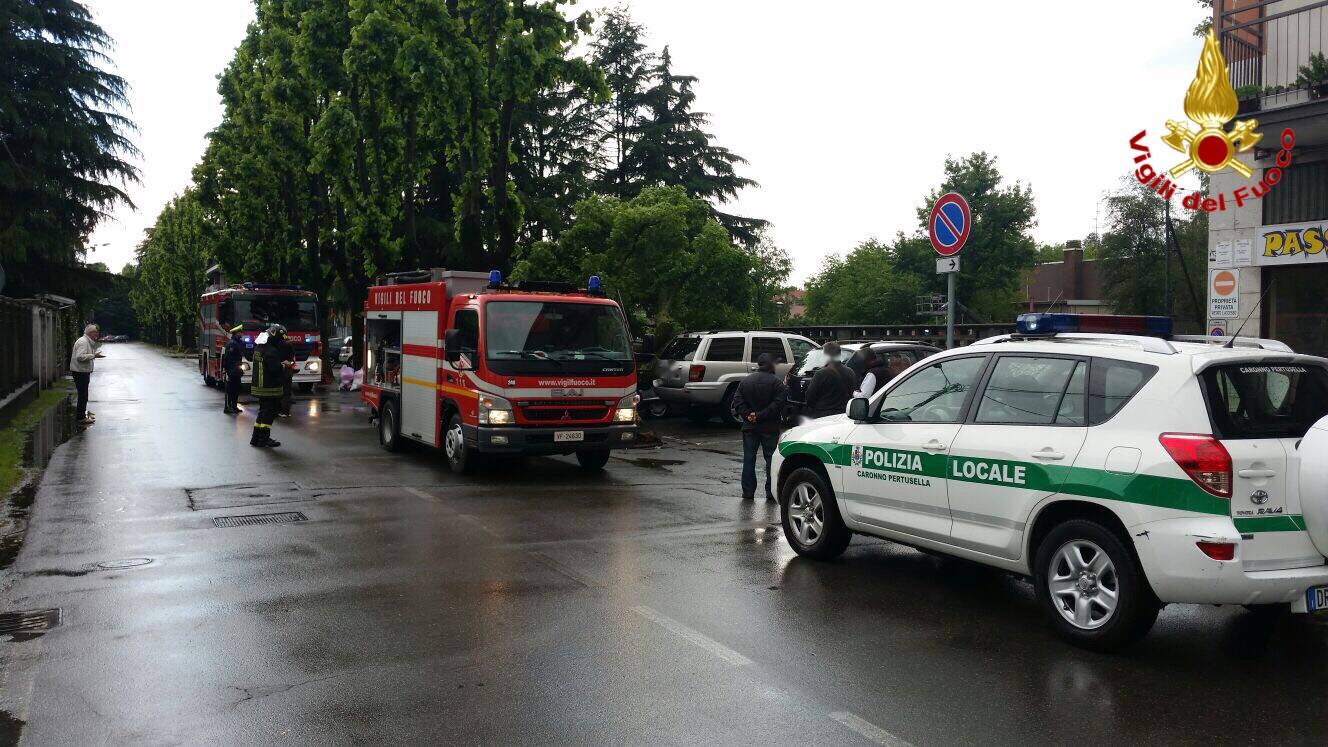 Alberi caduti e danni: il maltempo di maggio