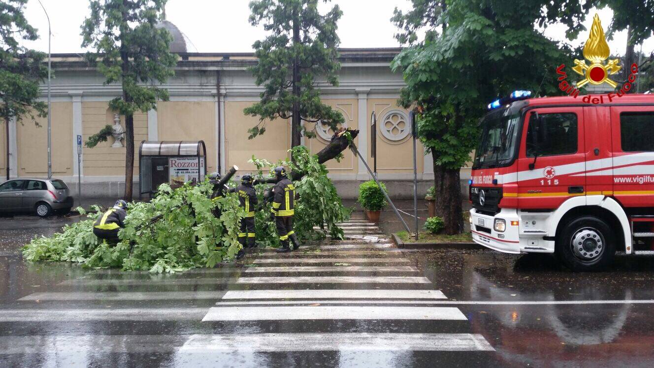Alberi caduti e danni: il maltempo di maggio