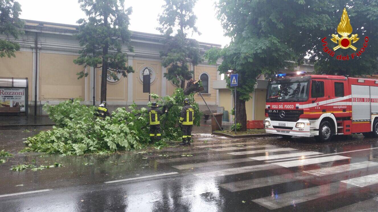 Alberi caduti e danni: il maltempo di maggio