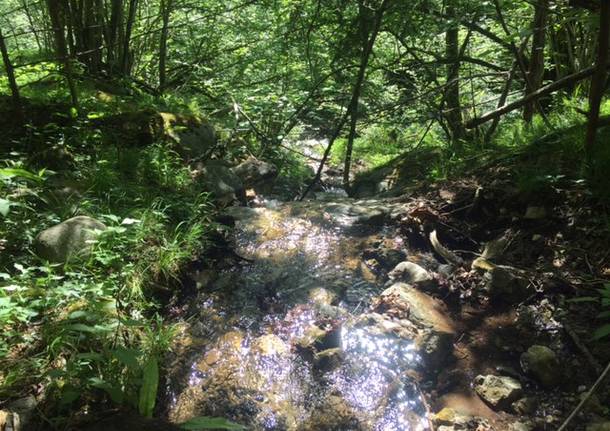 Il trekking degli Insubri