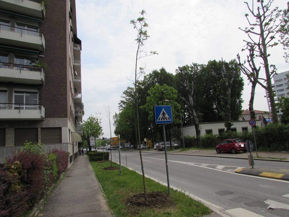 Al via il cantiere in piazza Risorgimento