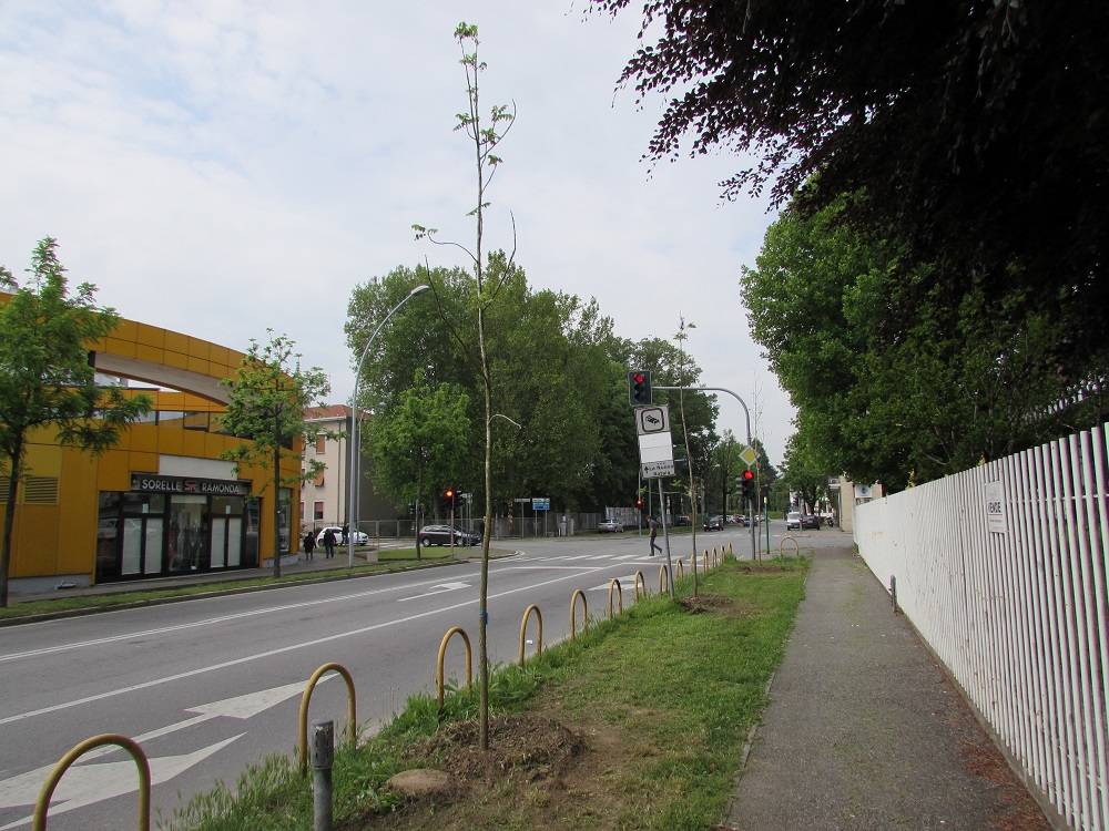 Al via il cantiere in piazza Risorgimento