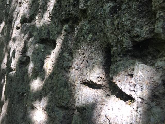 Il masso altare dei celti