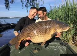 carpe lago pusiano