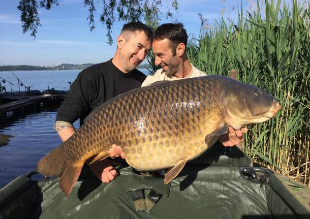 carpe lago pusiano