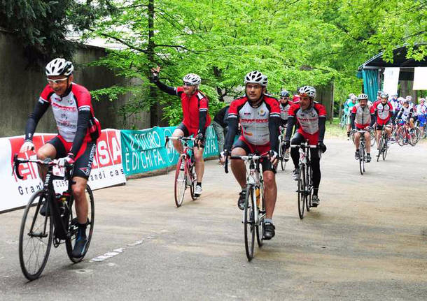 coppa bernocchi