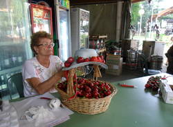 gavirate piccantissima 2016