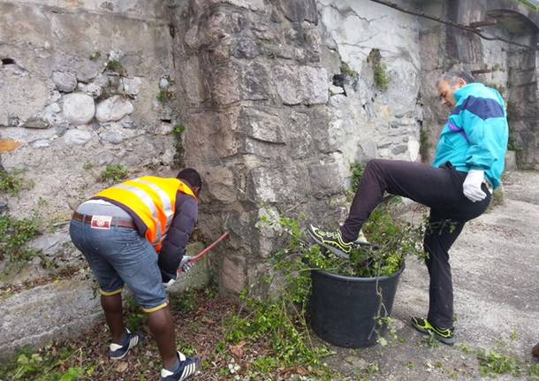 giornata ecologica 7 maggio 2016 brezzo di bedero