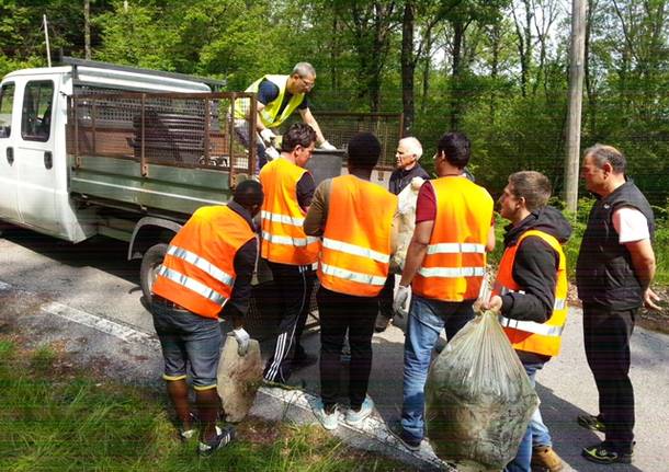 giornata ecologica 7 maggio 2016 brezzo di bedero