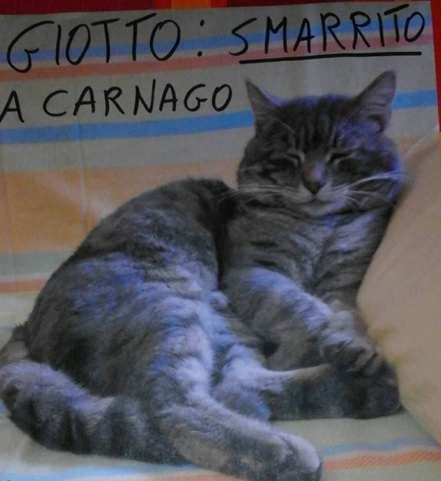 Giotto