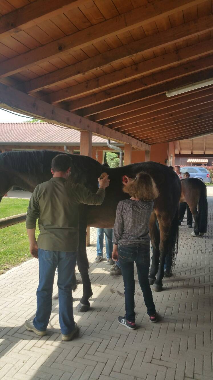 Gita all'Arca del Seprio per i ragazzi "Pieni di vita"