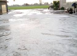 grandinata cremona 15 maggio 2016 