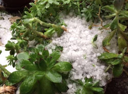 grandinata cremona 15 maggio 2016 