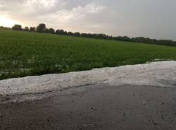 grandinata cremona 15 maggio 2016 