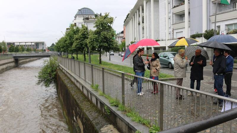 IMG 8657