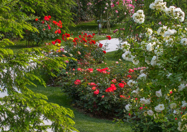 Induno Olona - Il Parco delle rose