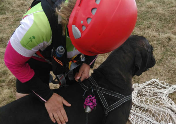 I vigili del fuoco salvano due persone e un cane