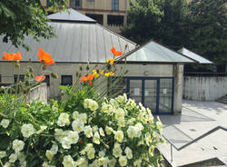 La nuova piazza de Salvo