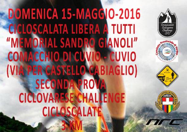 memorial sandro gianoli cuvio
