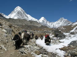 Nepal: un anno dopo il terremoto