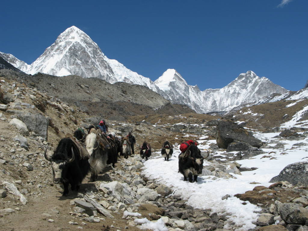 Nepal: un anno dopo il terremoto