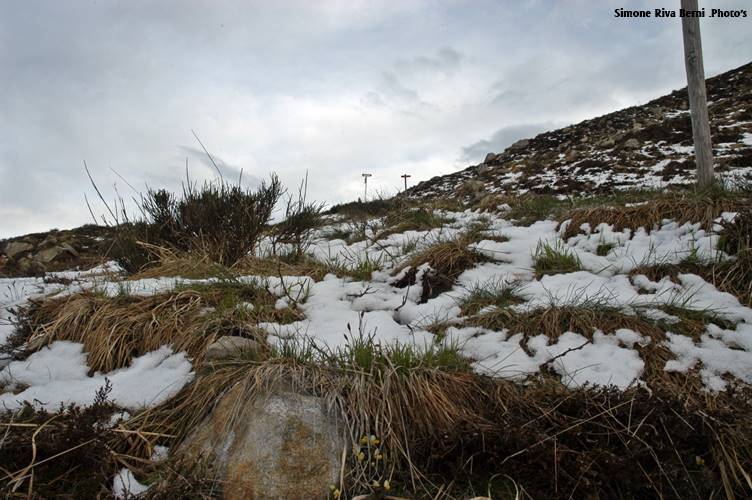 Neve di primavera in alta val Veddasca