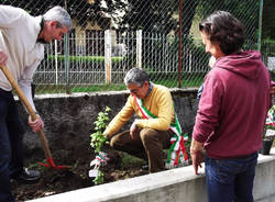 orino piantati gli alberi di mela poppina 