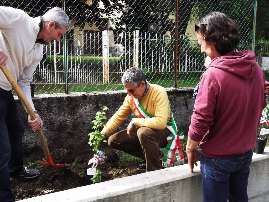orino piantati gli alberi di mela poppina 