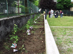 orino piantati gli alberi di mela poppina 