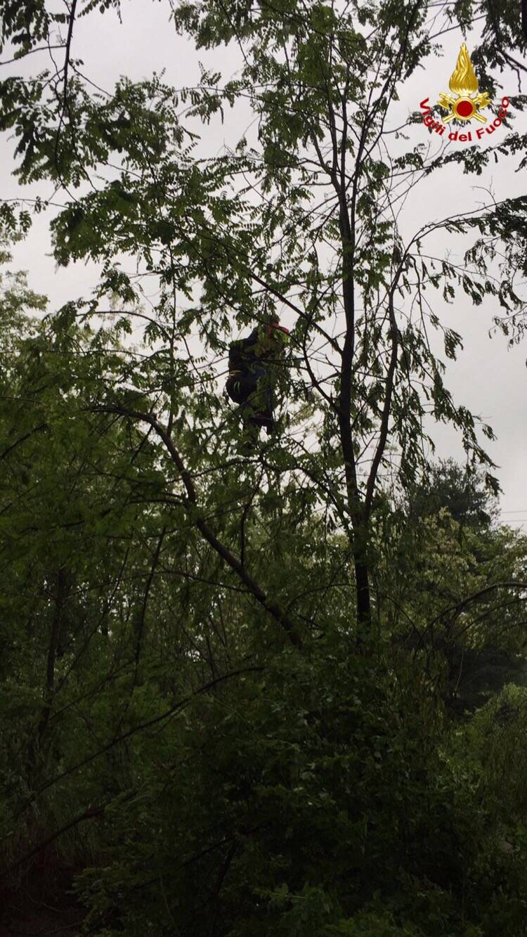 salvataggio lura a guanzate 11 maggio 2016