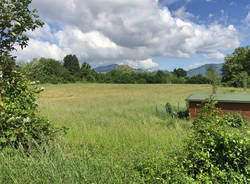 Un grande parco a Giubiano