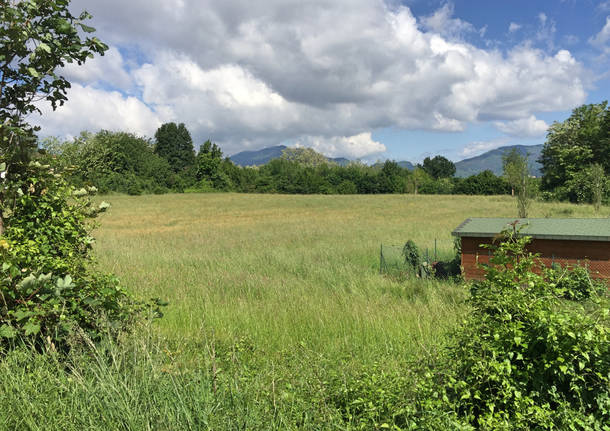 Un grande parco a Giubiano