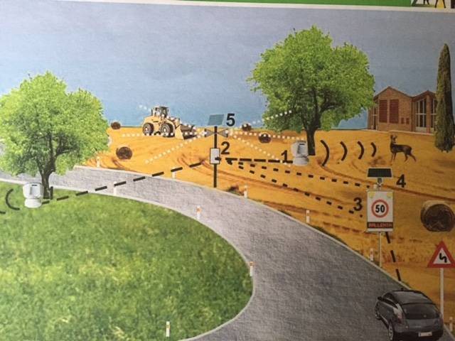 versi dei lupi per evitare gli attraversamenti stradali