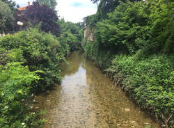 Arno acqua Gallarate