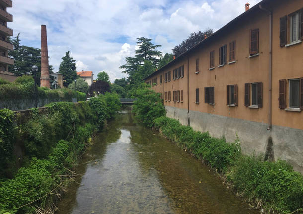 Arno acqua Gallarate