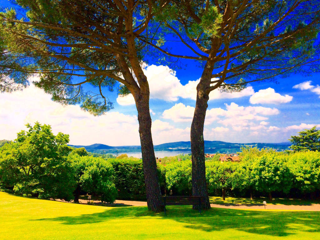 barasso panorama Paola Molinari
