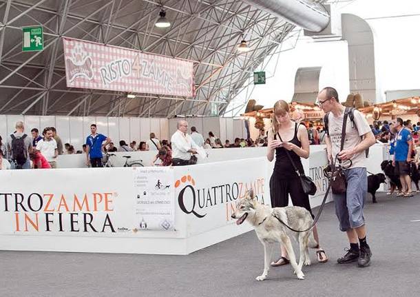 Cani e padroni di corsa