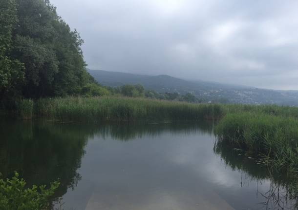 Lago e Bardello, due luoghi in uno