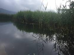 Lago e Bardello, due luoghi in uno