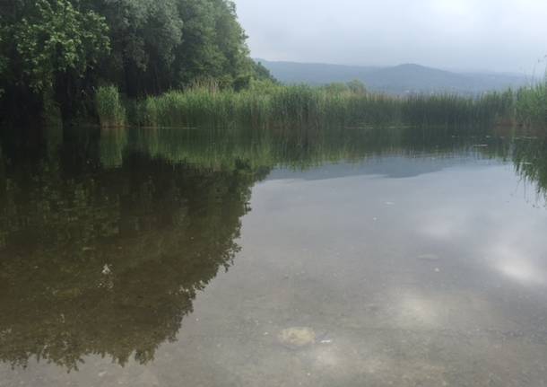 Lago e Bardello, due luoghi in uno