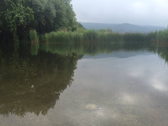 Lago e Bardello, due luoghi in uno