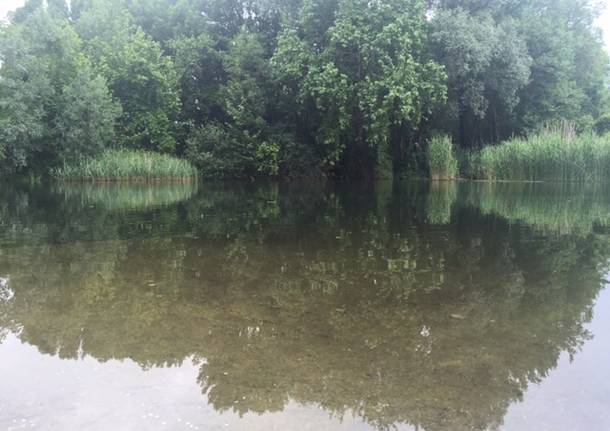 Lago e Bardello, due luoghi in uno