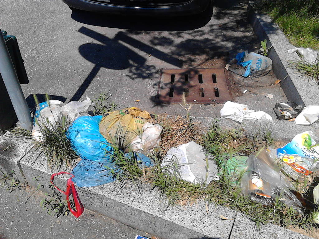 Immondizia nella piazza di Castronno