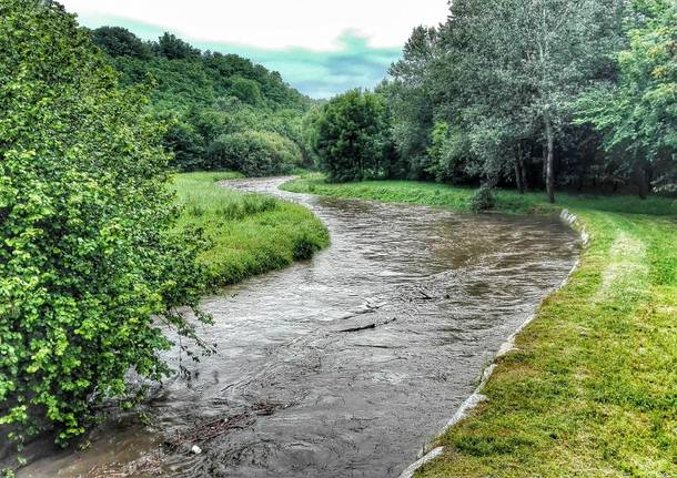 Olona in piena: la fotosequenza