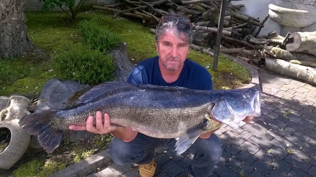 luccio perca/sandra Kg10 Ranco - Va -