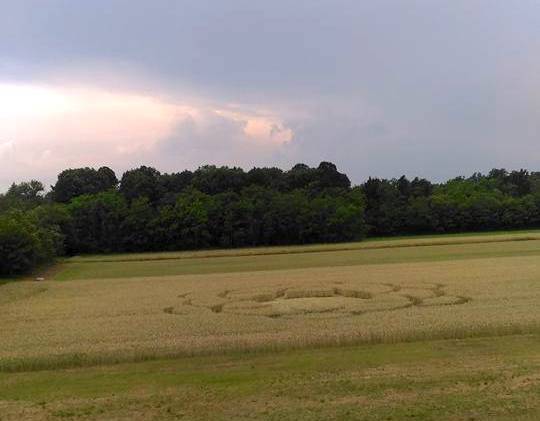 crops circle vanzaghello